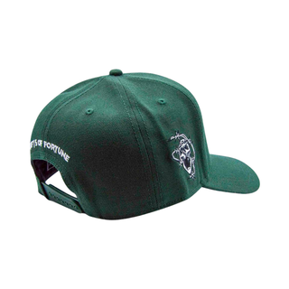 GREEN BARBED WIRE SNAPBACK