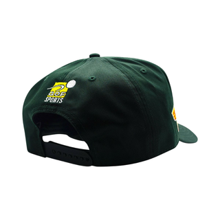 VICTORY LAP TRUCKER
